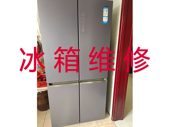 自贡专业冰箱冰柜安装